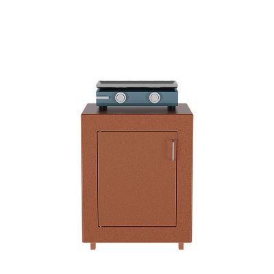 Module plancha disponible à 1175€
