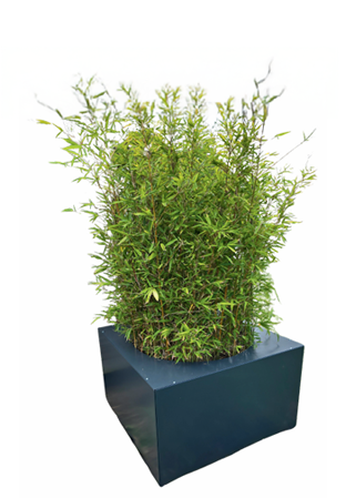 jardinière fermé