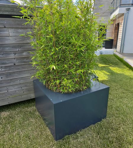 jardinière fermée