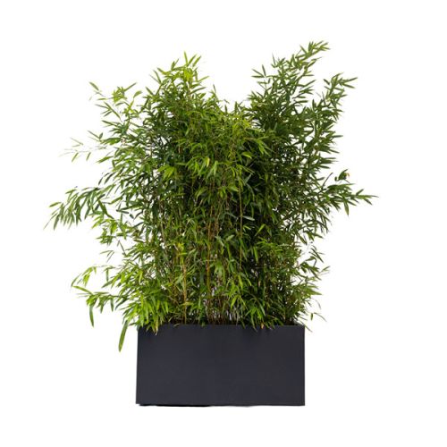 Jardinière ouverte