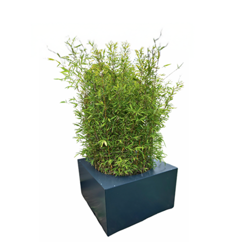 Jardinière fermée